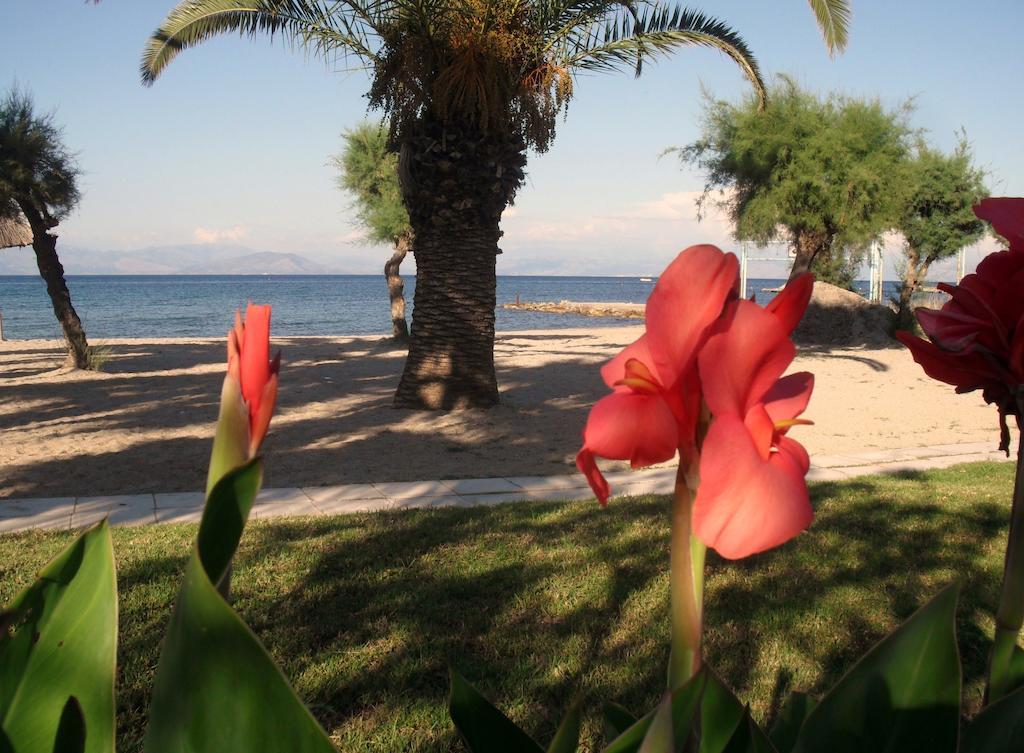 Three Stars Beach Hotel Moraḯtika Luaran gambar